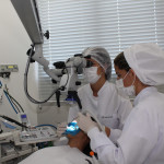 Atendimento da Dra Lais Fenelon, na Fenelon Endodontia